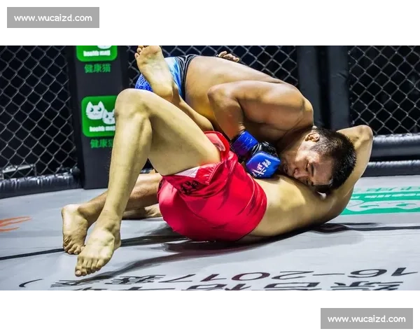 阿拉左夫对决达占巴巅峰之战引爆世界搏击格局新变数未来走向悬念