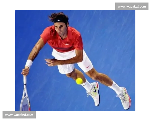 费德勒对决波特罗巅峰对抗再现网坛传奇荣耀之战历史经典时刻一战